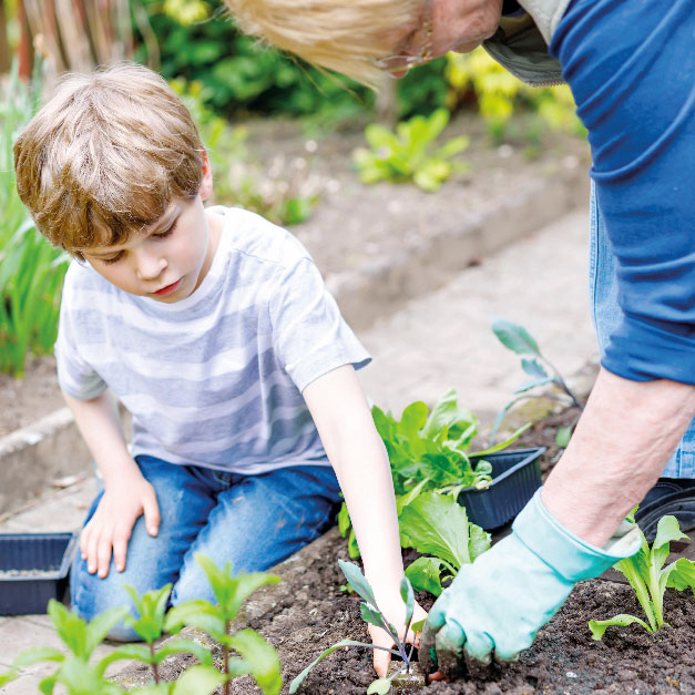 Green Fingers