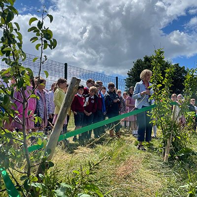 orchard opening